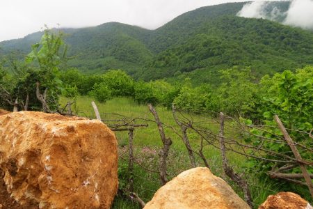 در جستجوی چشمۀ حیات: سفرنامه سجیران